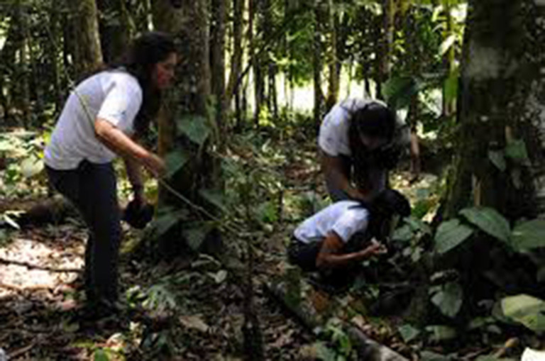 BIÓLOGOS, ESENCIALES PARA GARANTIZAR LA VIABILIDAD DE LA ESPECIE HUMANA 