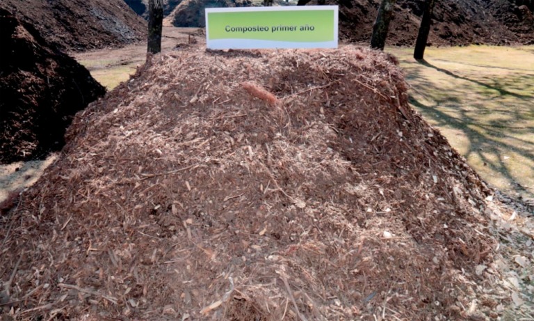 ¿Ya sabes dónde puedes llevar tu árbol de Navidad natural para reciclar? Te decimos