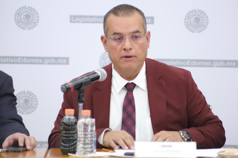 Los ciudadanos eligieron a María Elena Martínez para gobernar Amanalco