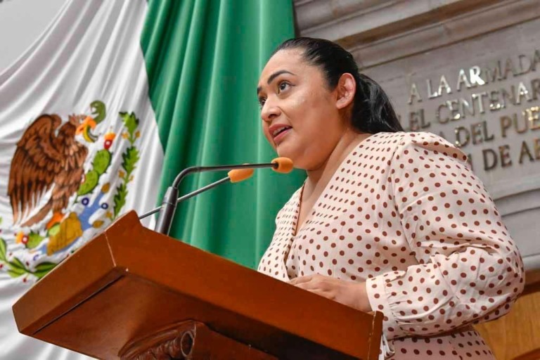 EL GOBIERNO DEL ESTADO DEBE DE CONSIDERAR LA PROPUESTA DE  PRESUPUESTO DE EGRESOS ALTERNATIVO.