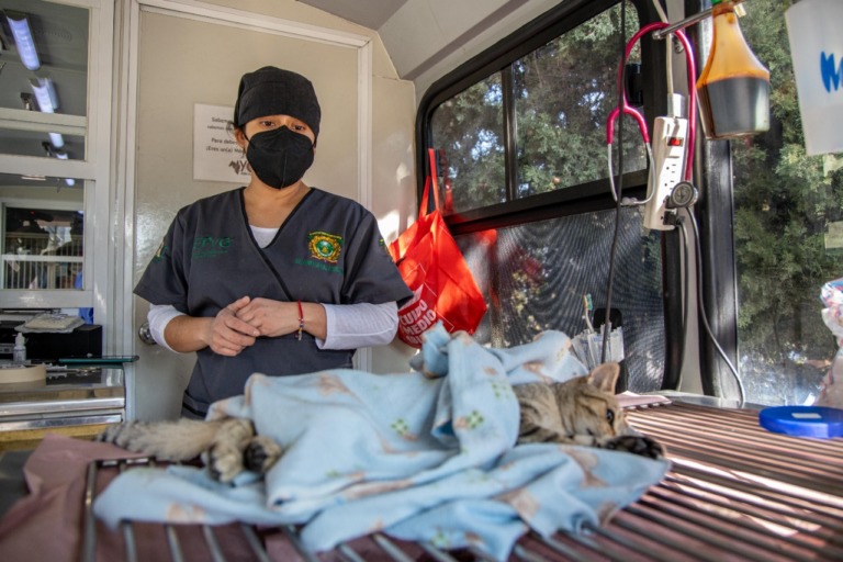 Inició UAEM Campaña de Esterilización de Perros y Gatos
