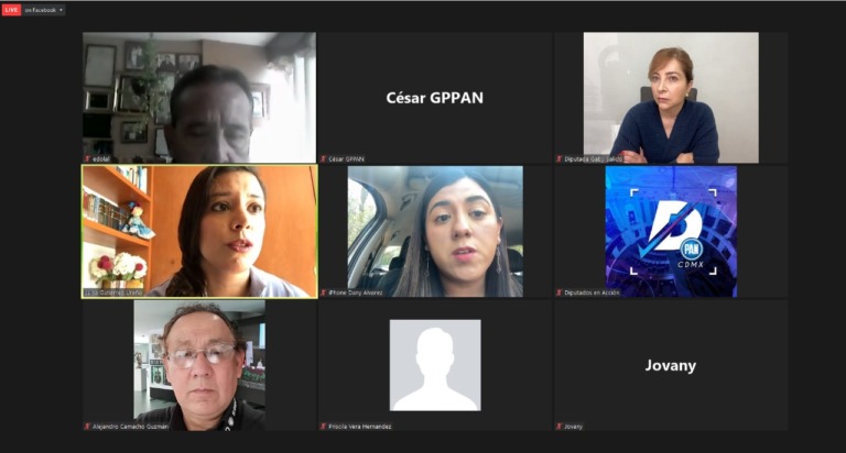 DIPUTADAS EXIGEN REVÉS AL NOMBRAMIENTO DIPLOMÁTICO DEL ACOSADOR PEDRO SALMERÓN; FGJCDMX NO AVANZA CON CASO DE NORBERTO NAZARIO SÁNCHEZ