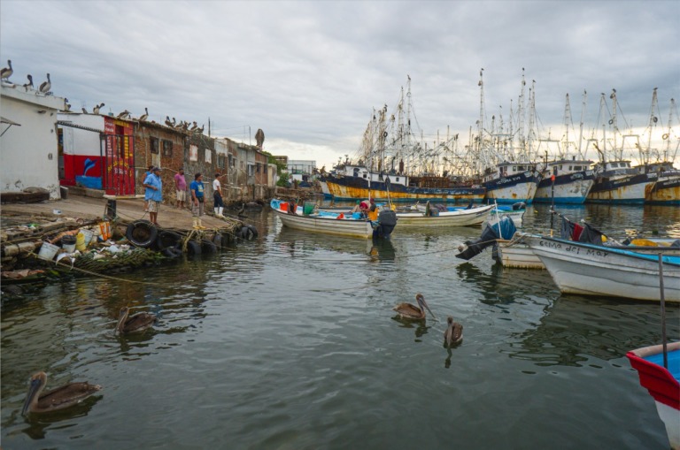 Oceana presenta amparo para rescatar los mares mexicanos