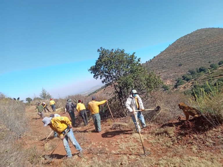 TRABAJA PROBOSQUE EN ACCIONES PREVENTIVAS CONTRA INCENDIOS FORESTALES