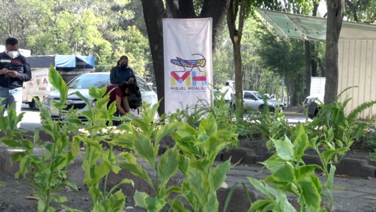 Busca MH impulsar sustentabilidad