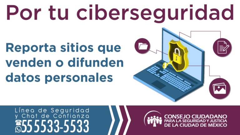 Alerta Consejo Ciudadano por venta de datos personales en internet