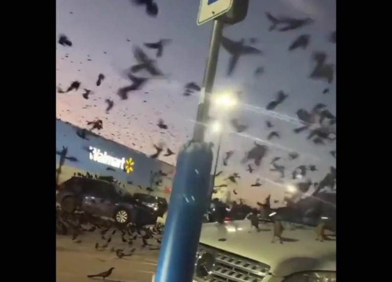 #VÍDEO. #CápsulaR24 #Hoy #NOTICIAS