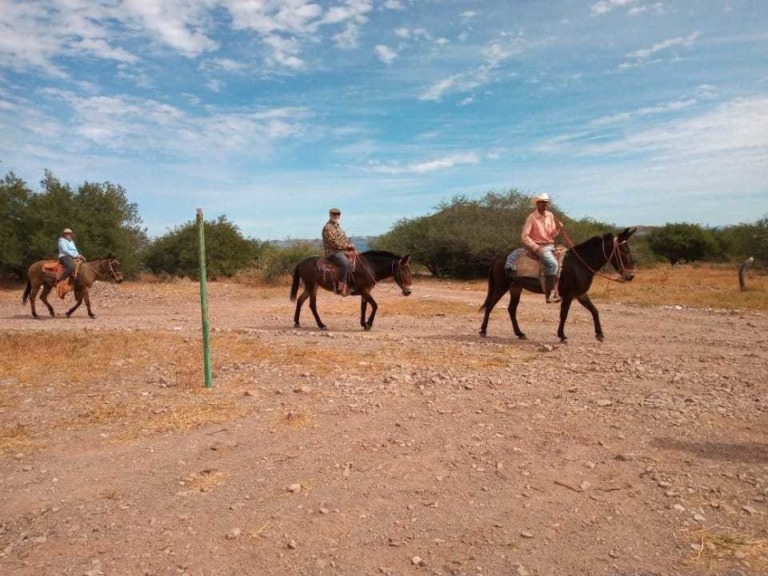 Crecerá la sequía en el país en 2022