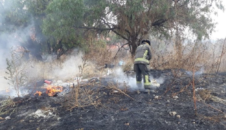 CDMX cuenta con 4 mil brigadistas para combatir  los incendios forestales