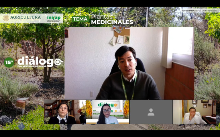 México, segundo lugar mundial en registro de plantas medicinales