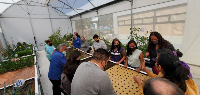 BUSCA MH REPLICAR HUERTOS URBANOS ENTRE VECINOS