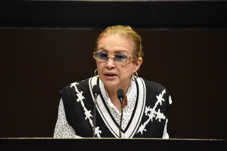 Proponen reconocer a los animales como seres con sensibilidad, para evitar maltrato, abandono o muerte cruel