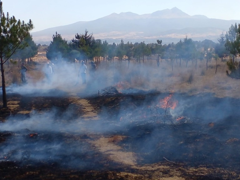 Controlado el incendio en  Parque Sierra Morelos