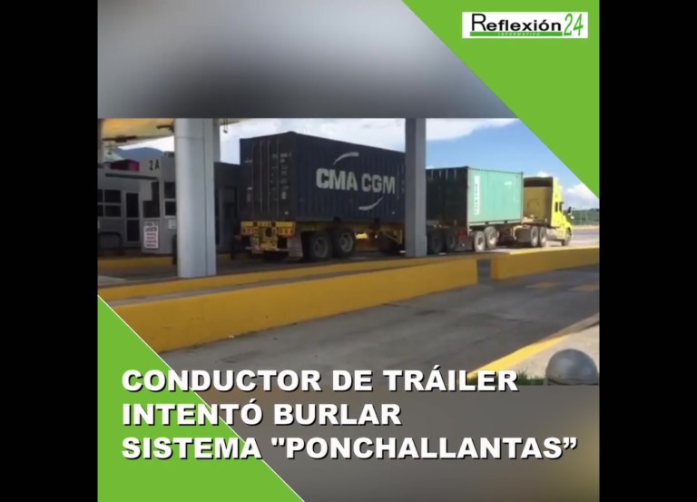 #Cápsular24 #Hoy #Noticias #AvesMigratorias￼