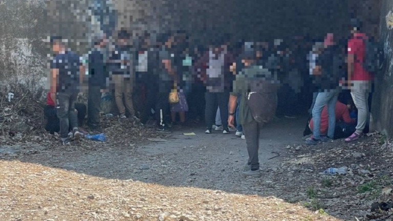 Aseguran más de 100 migrantes abandonados en Veracruz