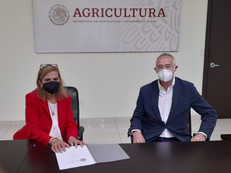 Fortalece México cooperación técnica en materia de sanidad con organismos internacionales