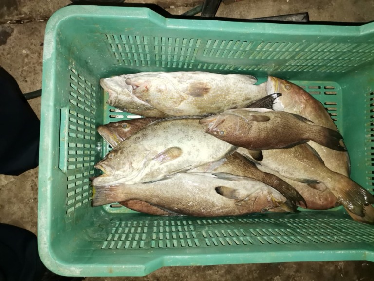 Aseguran Marina y Conapesca una embarcación con producto en veda en la costa de Yucatán