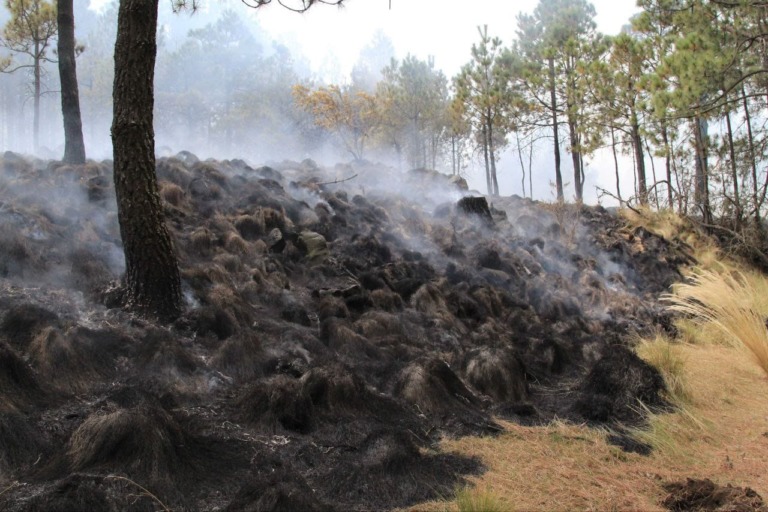 TLALPAN SE PREPARA PARA EVITAR INCENDIOS FORESTALES