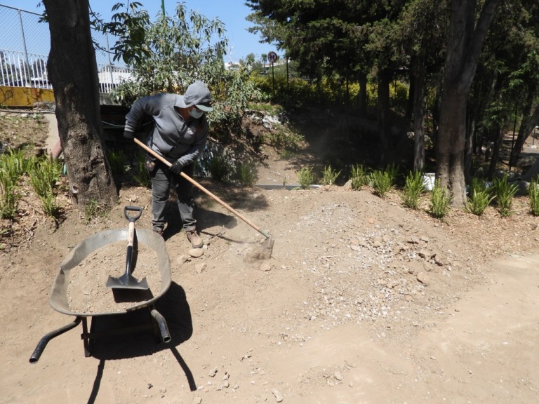 Con pala, escoba y carretilla Nataly contribuye a crear más espacios verdes en la ciudad
