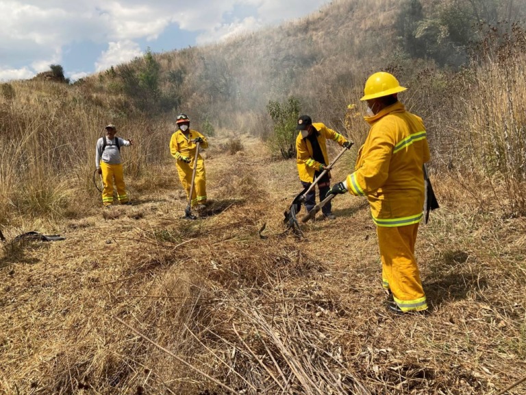 SUPERVISA ALCALDESA LÍA LIMÓN TRABAJOS DEPREVENCIÓN DE INCENDIOS FORESTALES