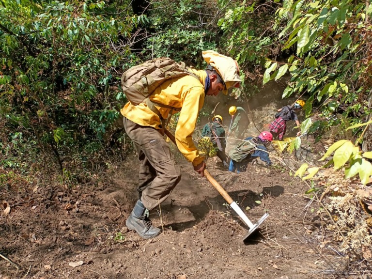 Conafor y Conagua fortalecen su coordinación con Protección Civilpara el combate a incendios forestales