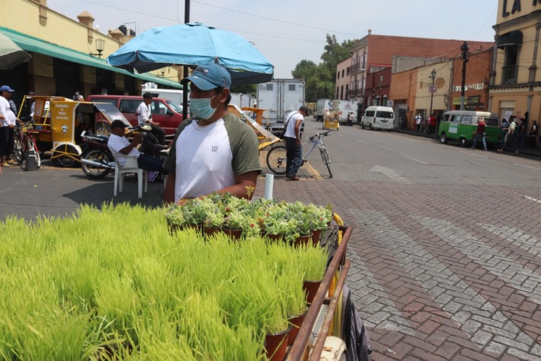 Macetas de trigo: Elemento infaltable de semana santa en Xochimilco