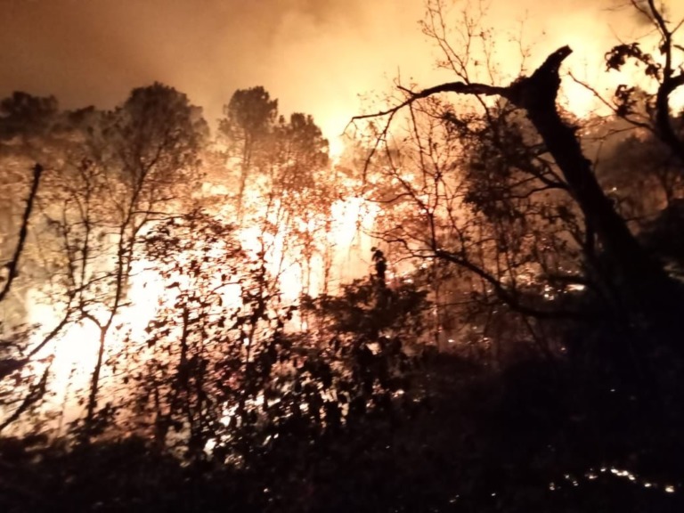 Combaten Probosque, Conafor y protección civil incendio en Tejupilco