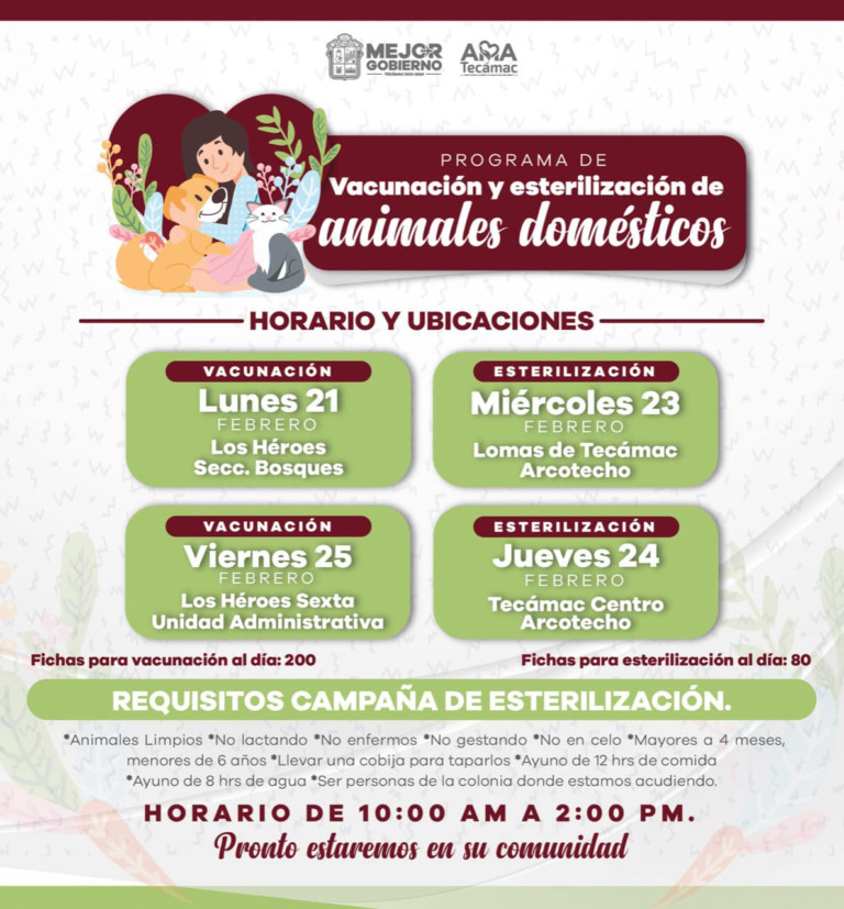 Invita Municipio de Tecámac a esterilizar perros y gatos