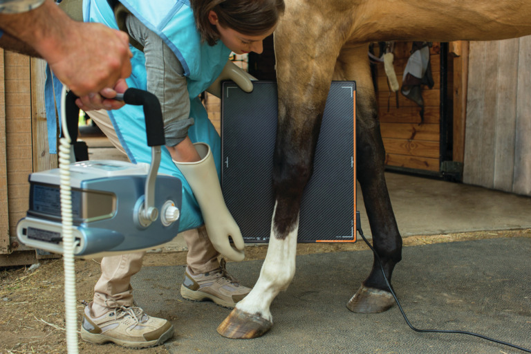Carestream a la vanguardia para obtener imágenes radiográficas de alta calidad de animales y mascotas