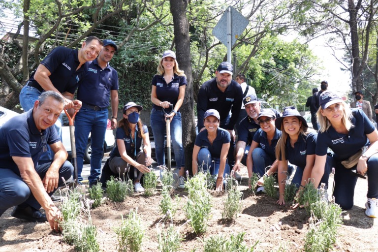 HUIXQUILUCAN REFORESTA JARDINES Y CAMELLONES PARA MEJORAR EL ENTORNO URBANO