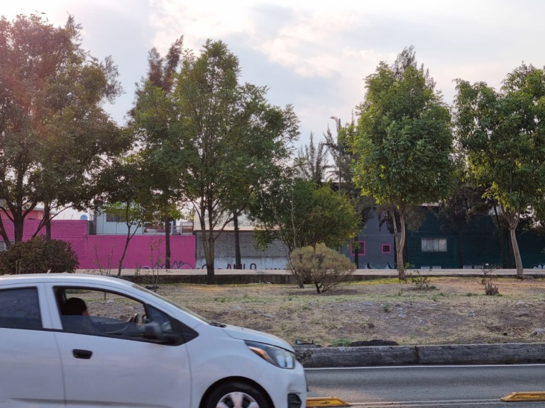 #Alerta. Continúa la Fase 1 de contingencia ambiental atmosférica por ozono en la ZNVM