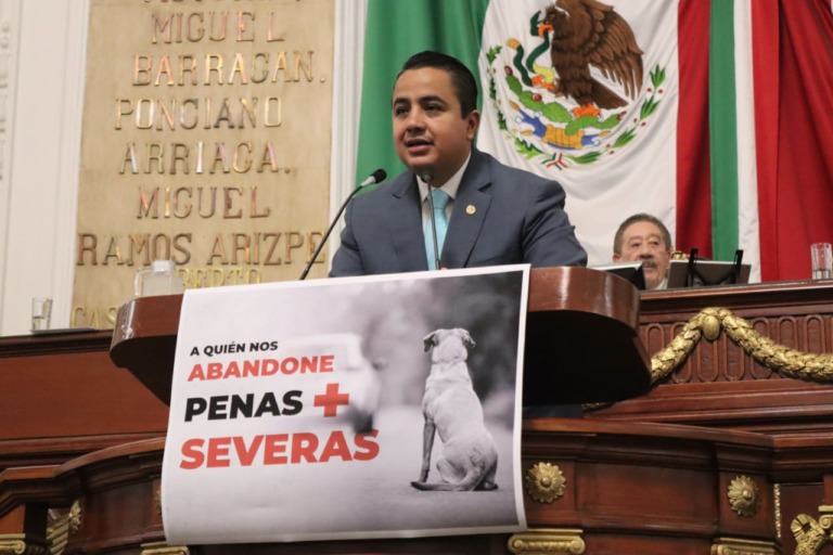 Encarcelarán hasta tres años a quien abandone animales en CDMX: Morena