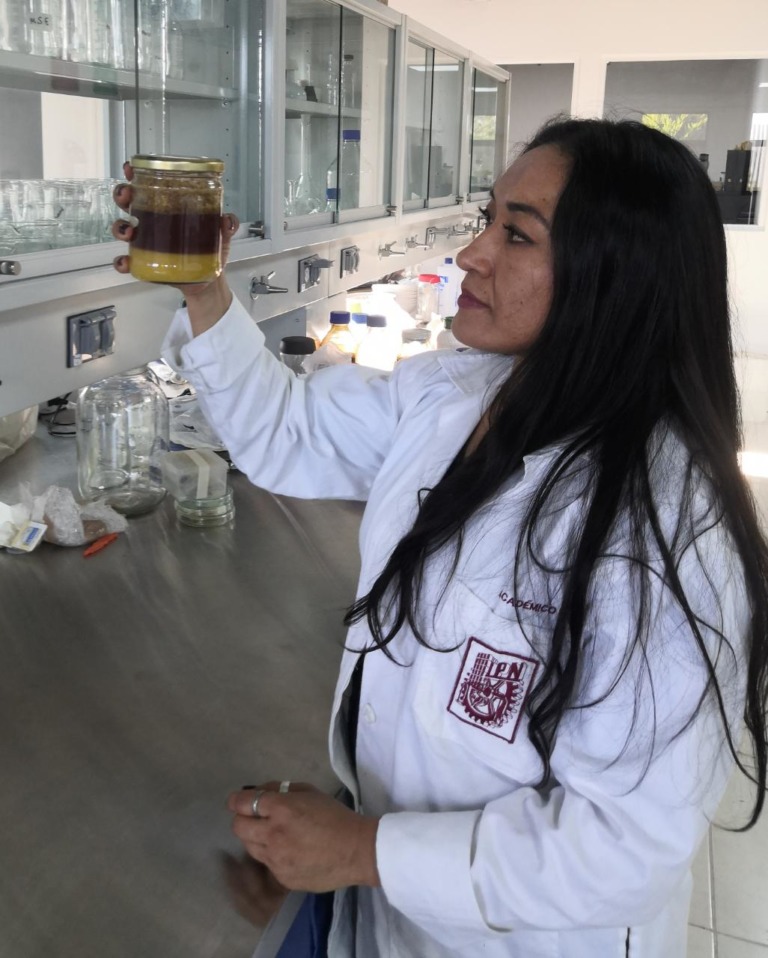 Con bacteria ácido láctica, IPN contribuirá a disminuir pérdidas en la producción de miel