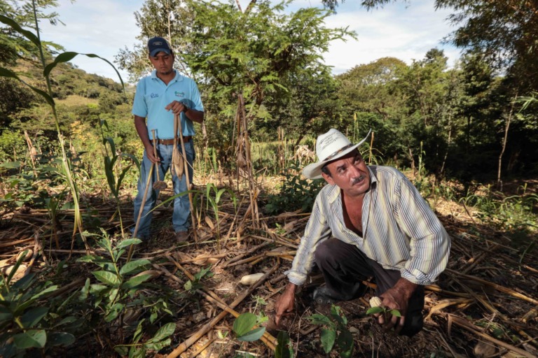 Impulsa Agricultura acciones para combatir la sequía y la desertificación en el país