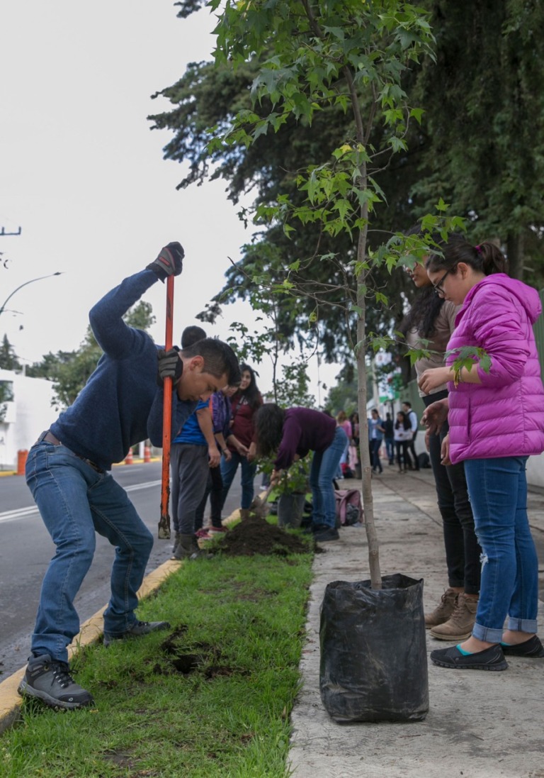 En la ZMVT aumenta la contaminación por la explotación desordenada de los recursosCabeza