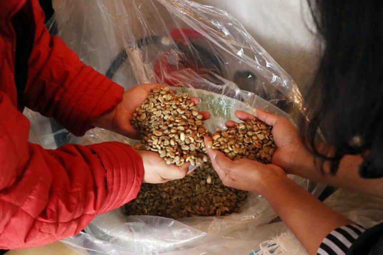 Subastan lotes de café poblano de alta calidad en México y el extranjero