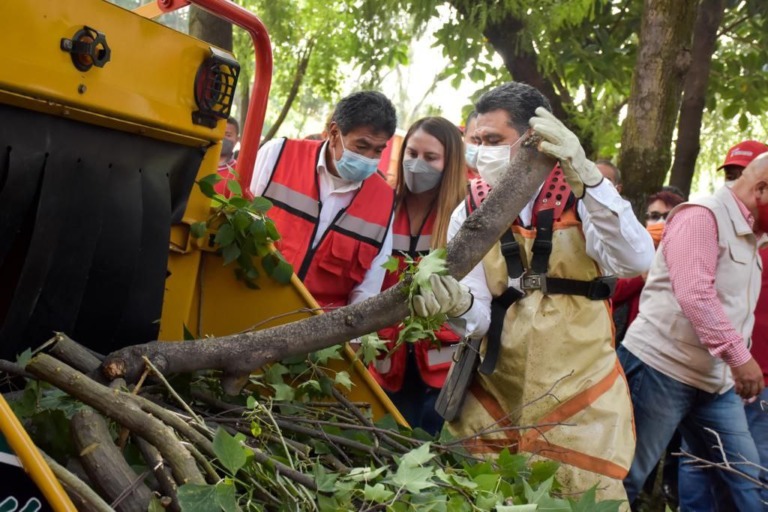INICIA EN TLALNEPANTLA INTENSO PROGRAMA DE PODA DE ÁRBOLES PARA MAYOR SEGURIDAD DE LOS CIUDADANOS