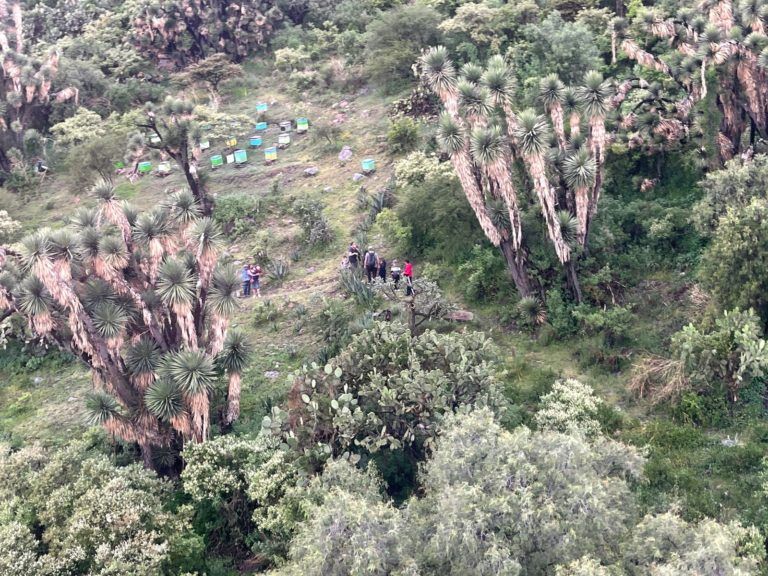 Helicóptero Jaguar 1 de Ecatepec localiza a 7 niños y 4 adultos extraviados en la Sierra de Guadalupe