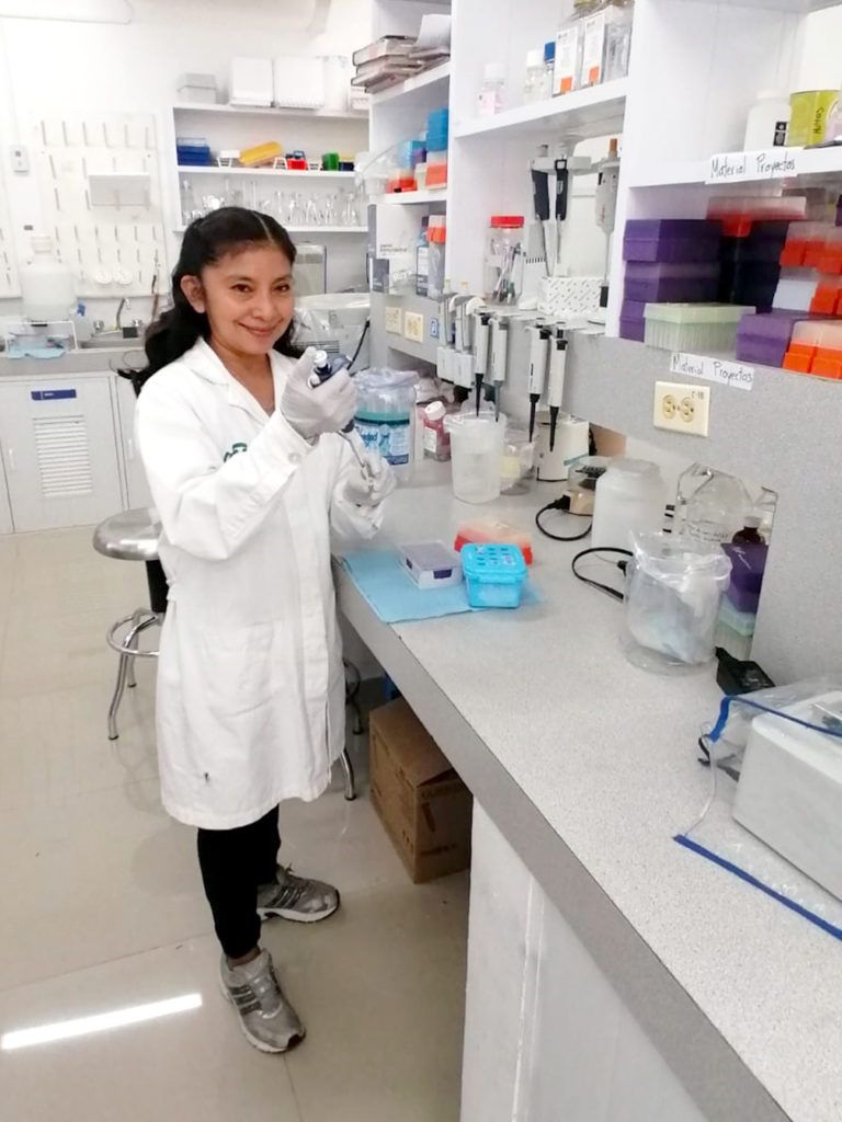 Identifican metales en delfines que se alimentan de especies comerciales