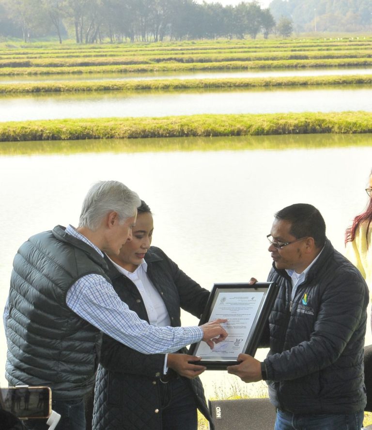 Convenio entre Edoméx y la Agencia de Cooperación Internacional de Japón para impulsar la producción acuícola: Alfredo Del Mazo