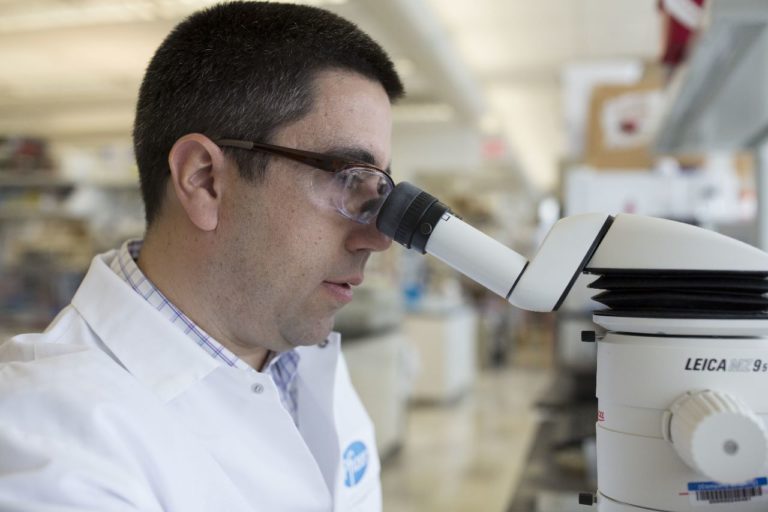 La resistencia a los antimicrobianos supone una amenaza cada vez mayor para la salud pública mundial