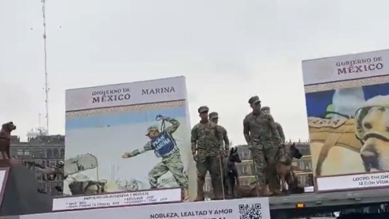 Homenajean a perrita Frida durante desfile del 20 de noviembre