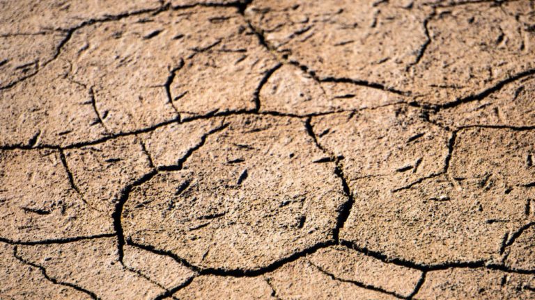 Todo el mundo sufrió alteraciones en sus ciclos de lluvias en 2021: ONU