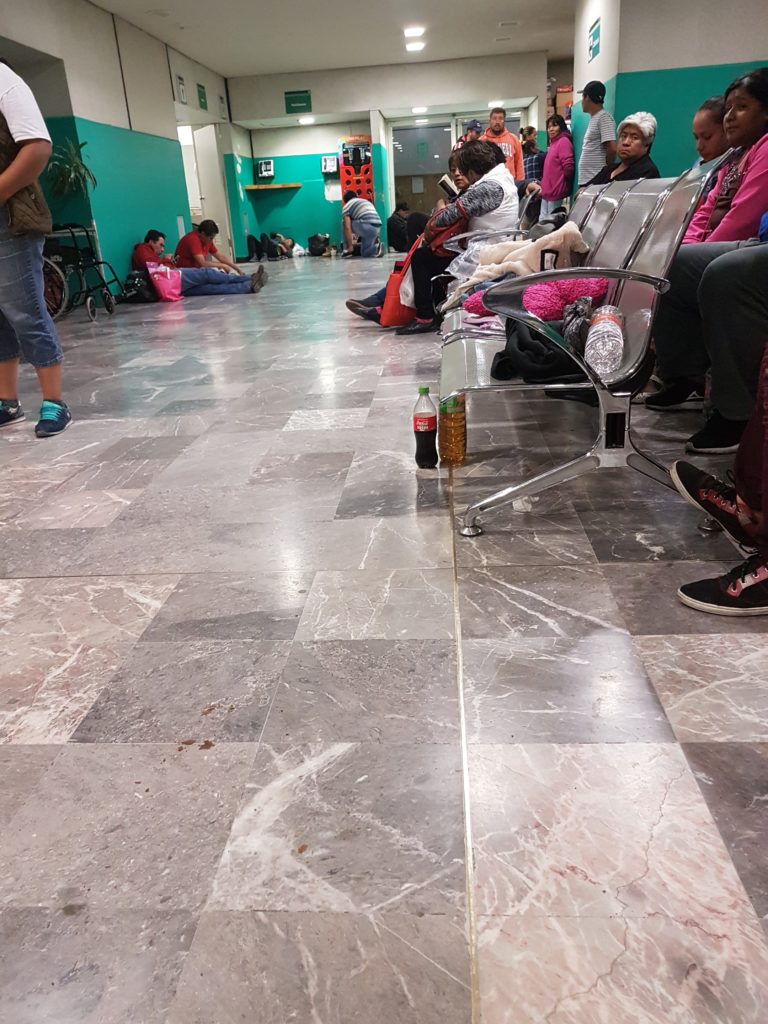 Se reportan cuatro casos de rabia en humanos en México