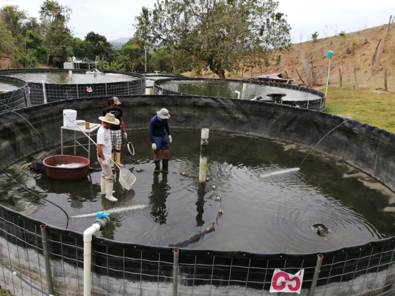 Biólogos, actores relevantes en el estudio de la pesca sostenible en México: Agricultura