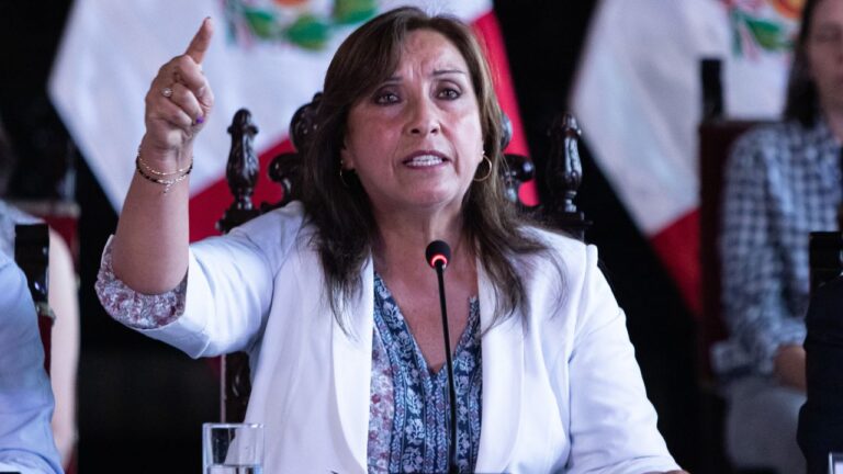 Dina Boluarte hablará ante la OEA el miércoles
