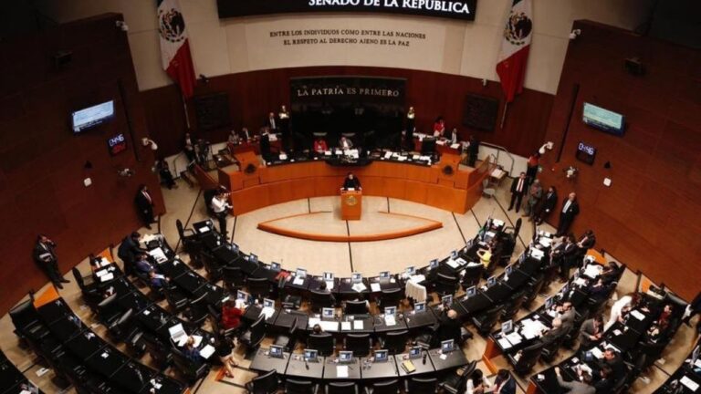 Impulsan en el Senado reformas para evitar embargo de animales domésticos