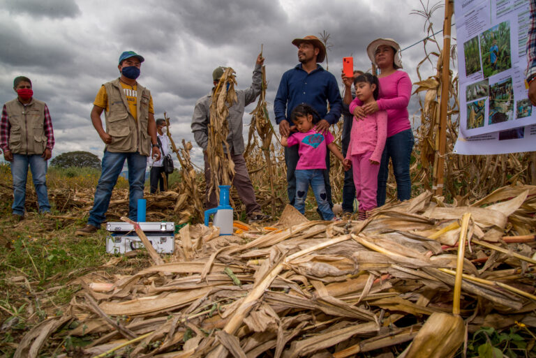 Conocimiento y capacitación impulsarán un sector primario productivo: Agricultura