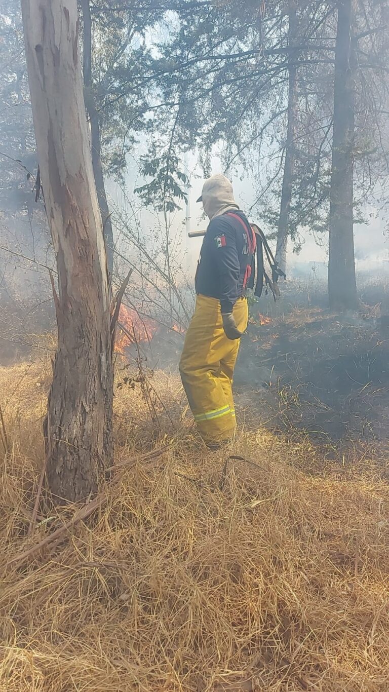Por el incendio en el Parque se busca denunciar a probables responsables