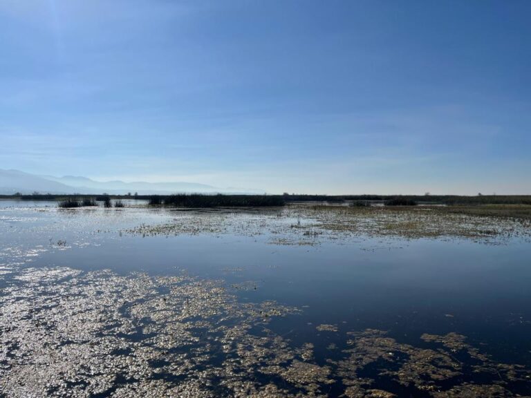 Defensores del medio ambiente en las cárceles y sin protección